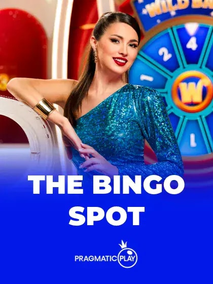 The Bingo Spot