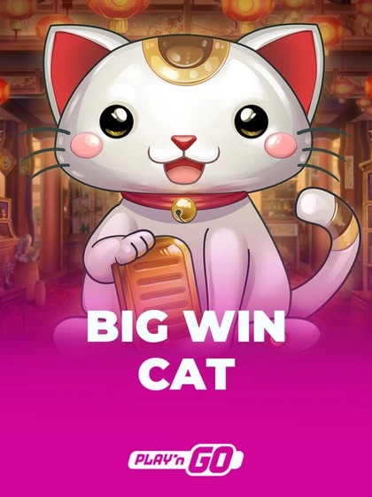 Big Win Cat